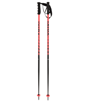 Volkl Speedstick Ski Poles 2024