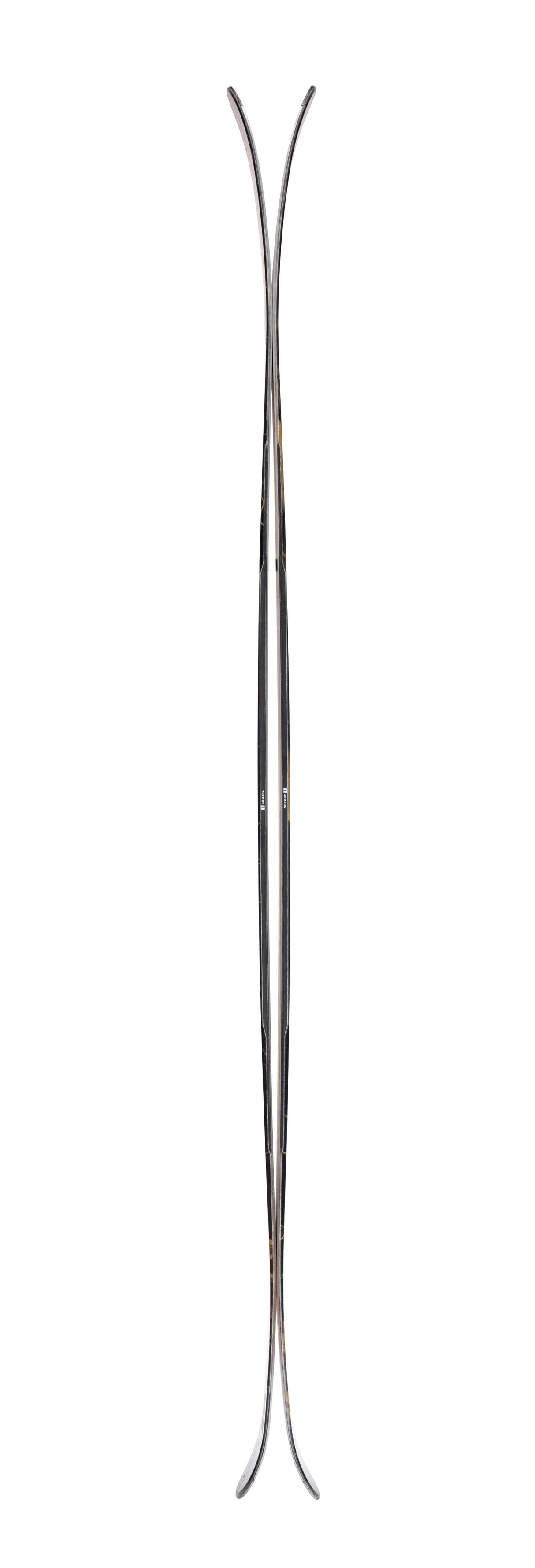 Bdog94- Multicolored ski on a white background