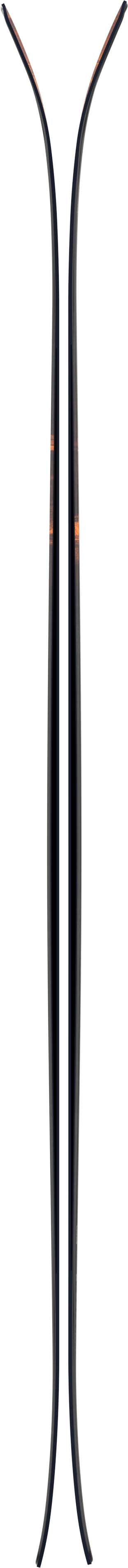 Maven88CTI- Ski profile on a white background