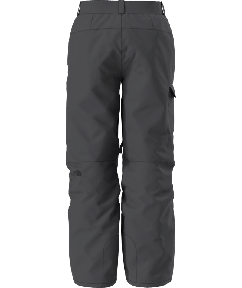 North Face Freedom Pant (NF0A5ABV) Mens 2026