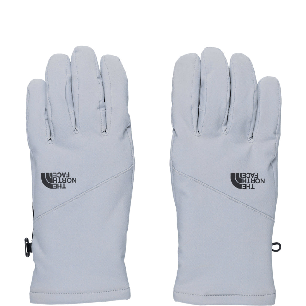 North Face Shelbe Raschel Etip Glove (NF0A5FWI) Womens 2024