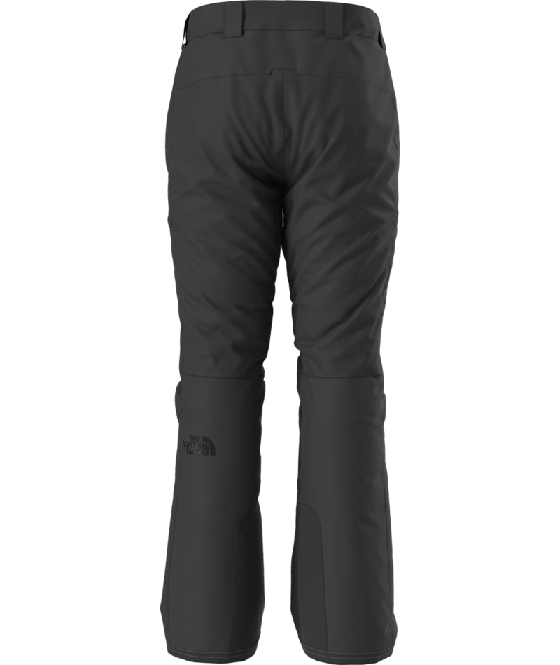 North Face Descendit Pant (NF0A87ZY) Mens 2025