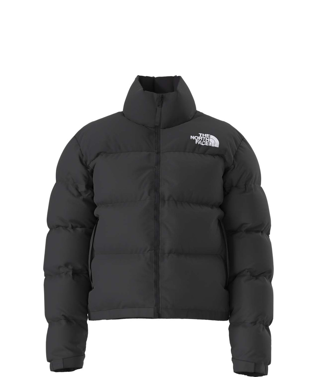 W1996RetroNuptseJacket-Black puffer jacket with The North Face logo on a white background