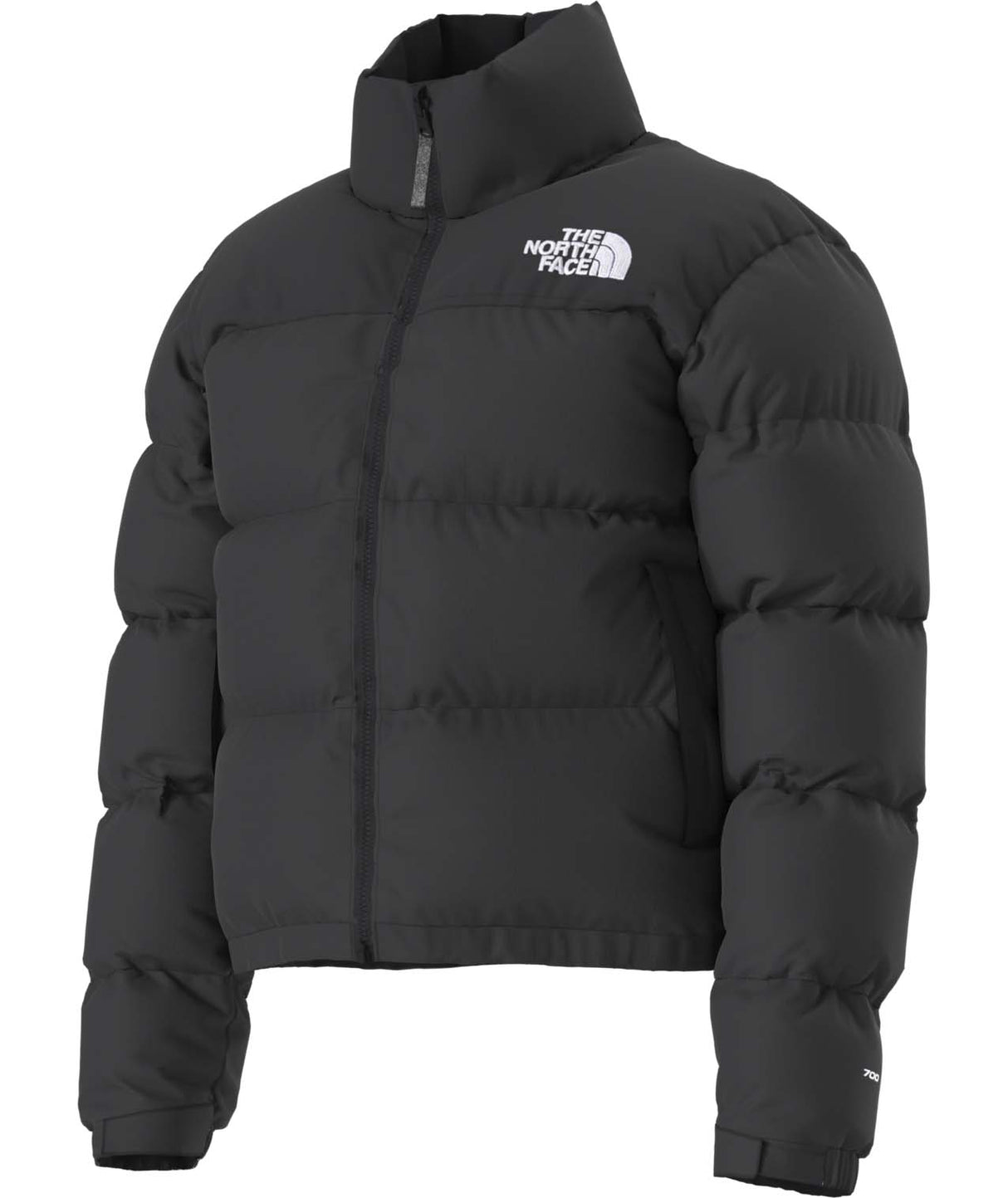 W1996RetroNuptseJacket-Black puffer jacket with The North Face logo on a white background