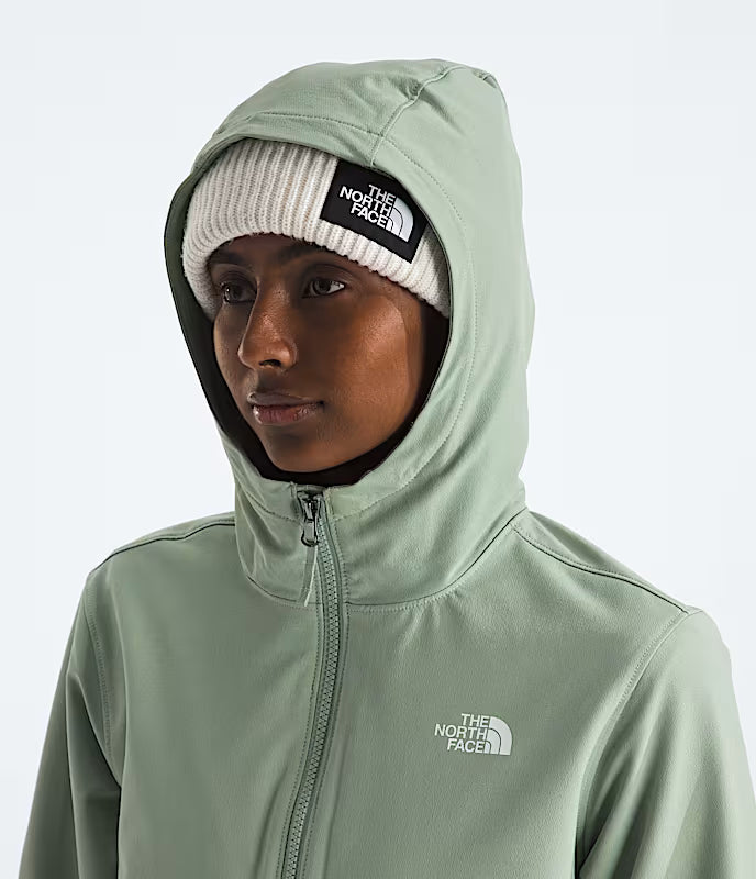 North Face Shelbe Raschel Hoodie (NF0A84JJ) Womens 2026
