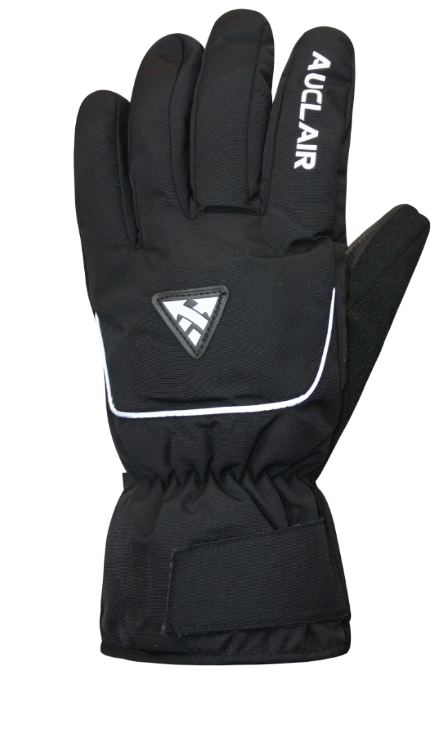 Auclair Horizon Jr Glove  (4H029) Youth 2025