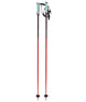 Volkl Phantastick 18 Ski Poles 2024