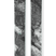 Canvas 108-Two skis with visible branding on a white background