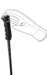 Leki Detect S Adult Ski Poles 2026