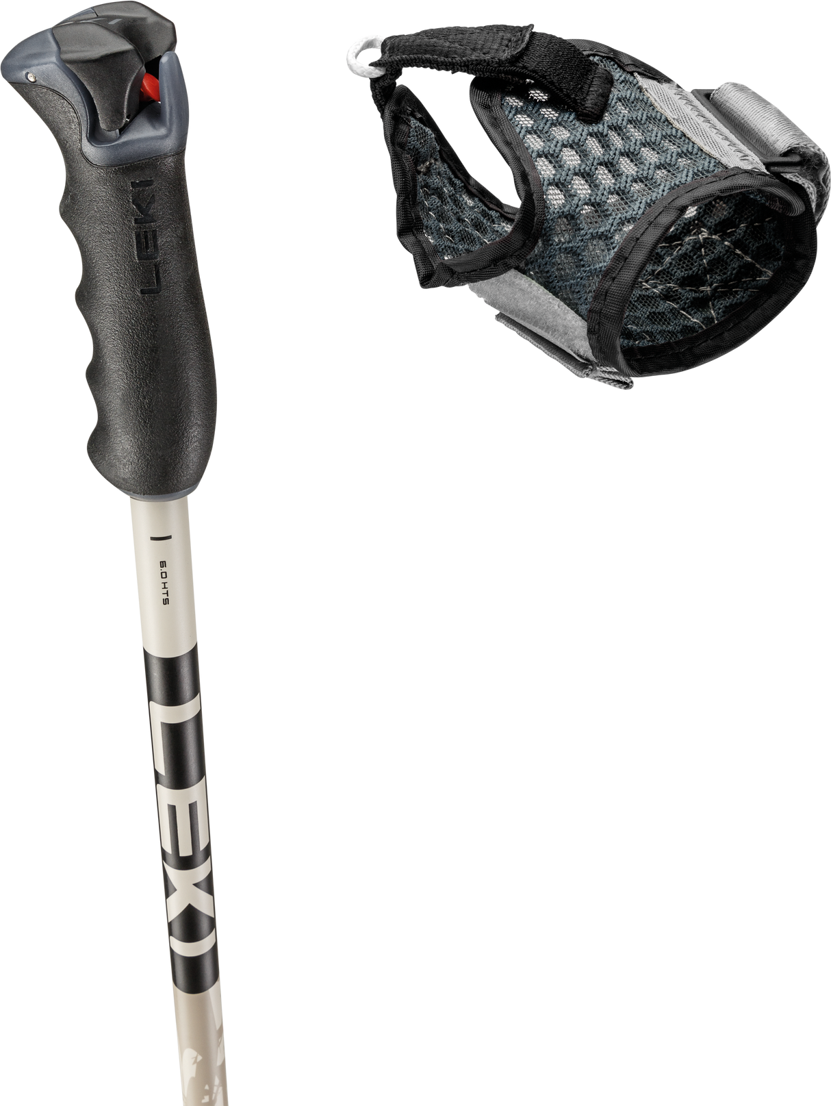 Leki Detect S Adult Ski Poles 2026