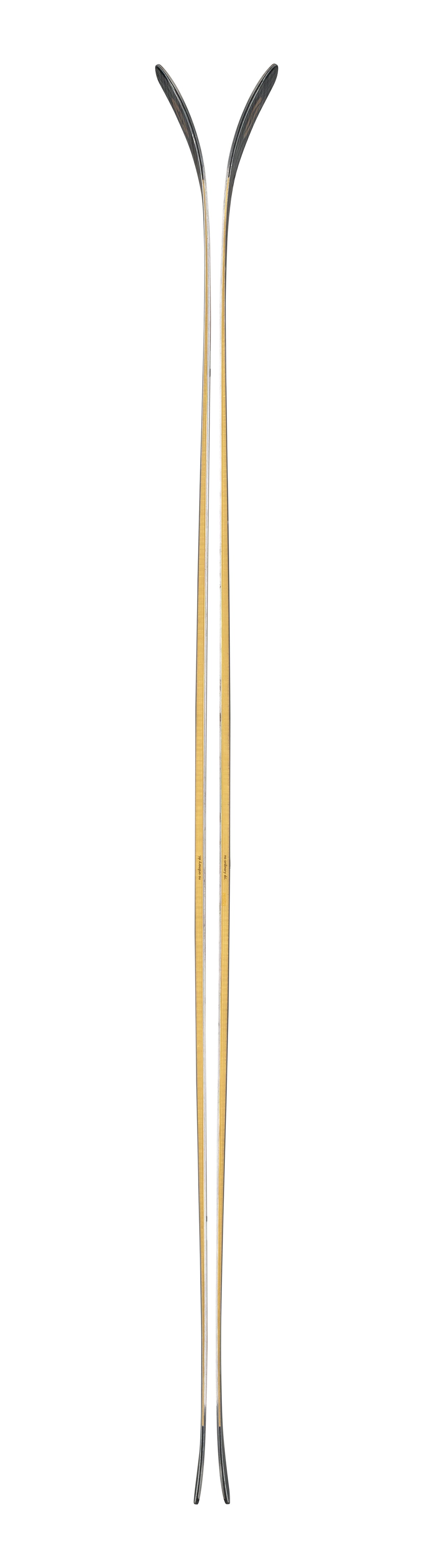 Blizzard Anomaly 94 Mens Skis 2026