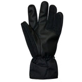 Auclair Horizon Mens Glove
