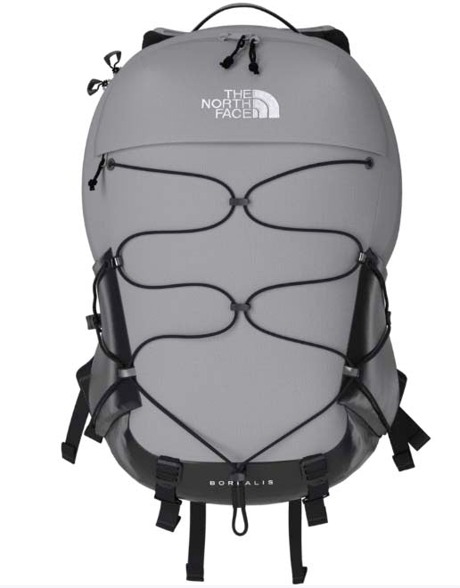 Borealis-Light Grey backpack with The North Face logo on a white background