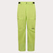 Oakley Axis Insulated Pant Mens 2025