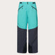 Canopy PRO Insulated Pant-Two-tone teal and navy pants on a light gray background