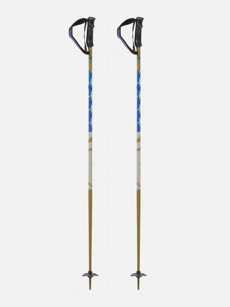 Freeride18- Ski poles on a white background