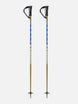 Freeride18- Ski poles on a white background