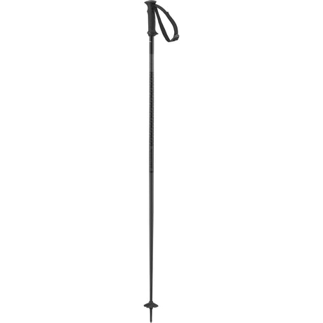 Polar Access- Black ski pole on a white background