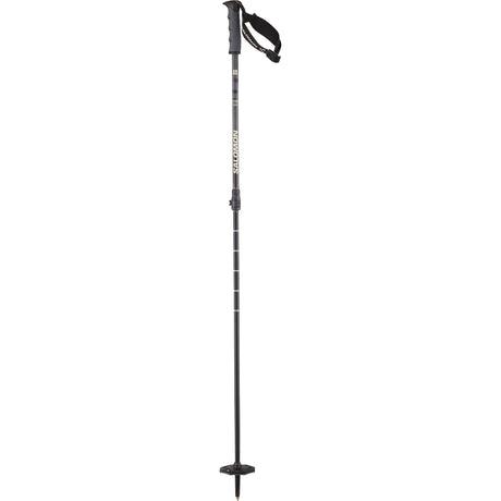 Steep Vario S3- Black ski pole with a brand logo on a white background
