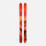 MFree108- Pair of colorful skis on a white background
