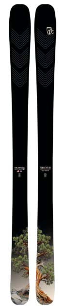 MTorrent88- Black skis with a tree design at the tail on a white background 