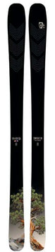 MTorrent88- Black skis with a tree design at the tail on a white background 