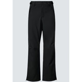 Oakley Best Cedar RC Insulated Pant Mens 2026