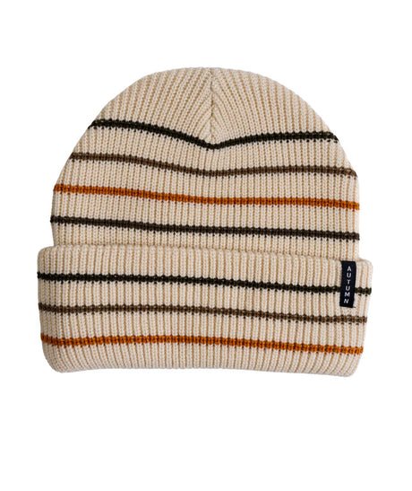 MultiStripe- Beanie on a white background