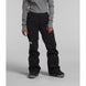 North Face Freedom Stretch Pant (NF0A7WYN) Womens 2024