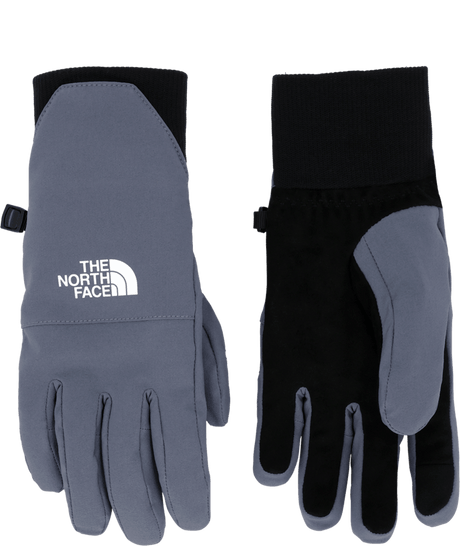 North Face Shelbe Raschel Etip Glove (NF0A888R) Womens 2026