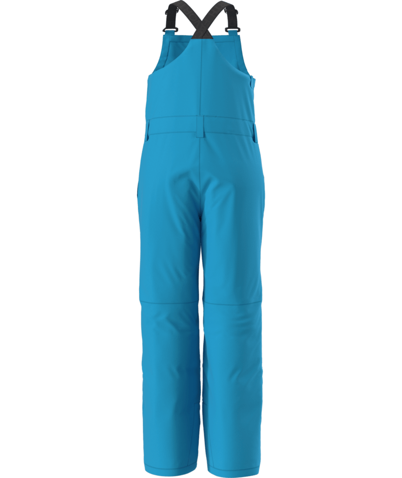 North Face Teen Freedom Insulated Bib (NF0A88UZ) Youth 2026