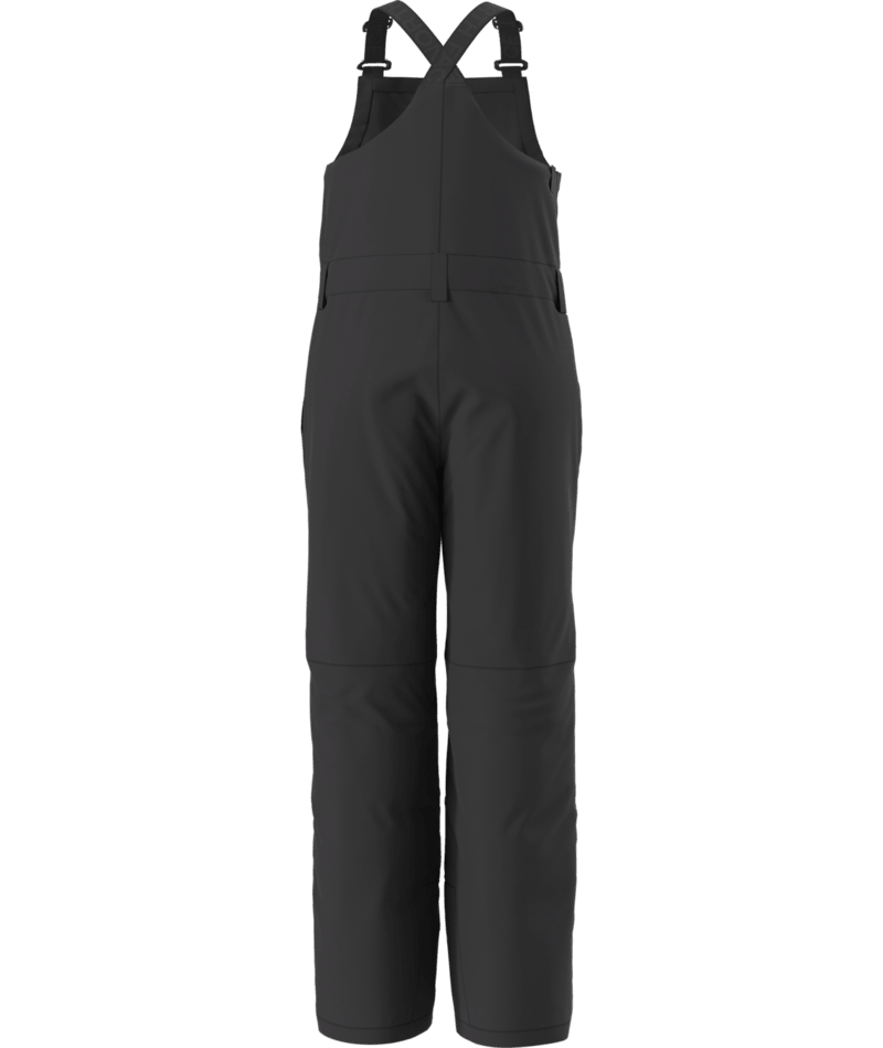 North Face Teen Freedom Insulated Bib (NF0A88UZ) Youth 2026
