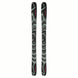 NQST100- Pair of skis with green and black design on a white background