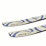 NQST106ALMONDMILK-Two skis with a blue and beige pattern on a white background