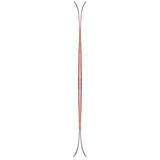 Reckoner110- Pair of skis on a white background