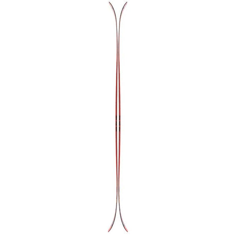 Reckoner110- Pair of skis on a white background