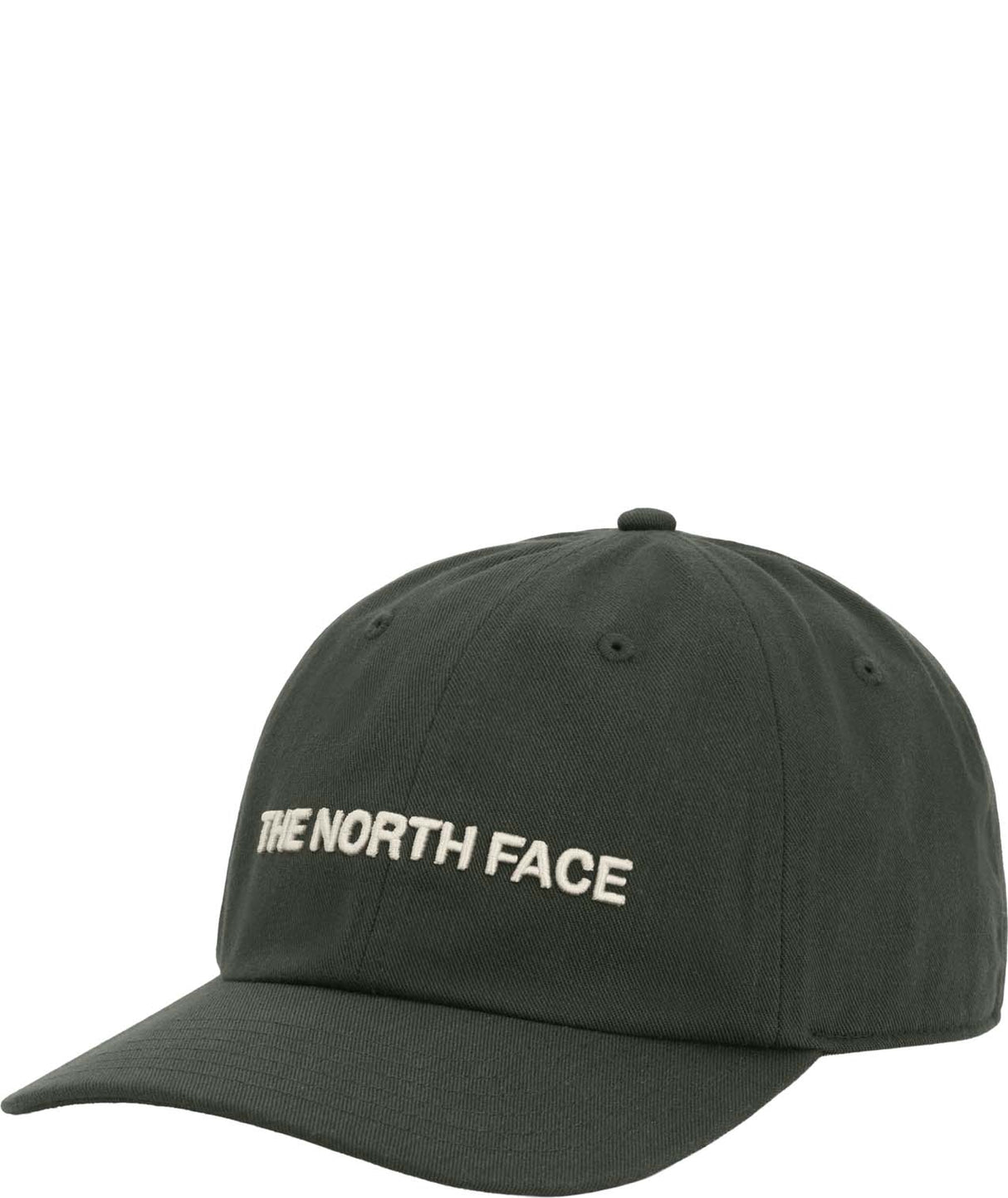 RoomyNormHat- Dark Green Baseball Cap that says 'The North Face'