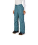 WAuraInsulatedCargoPant-Teal snow pants worn by a person on a white background