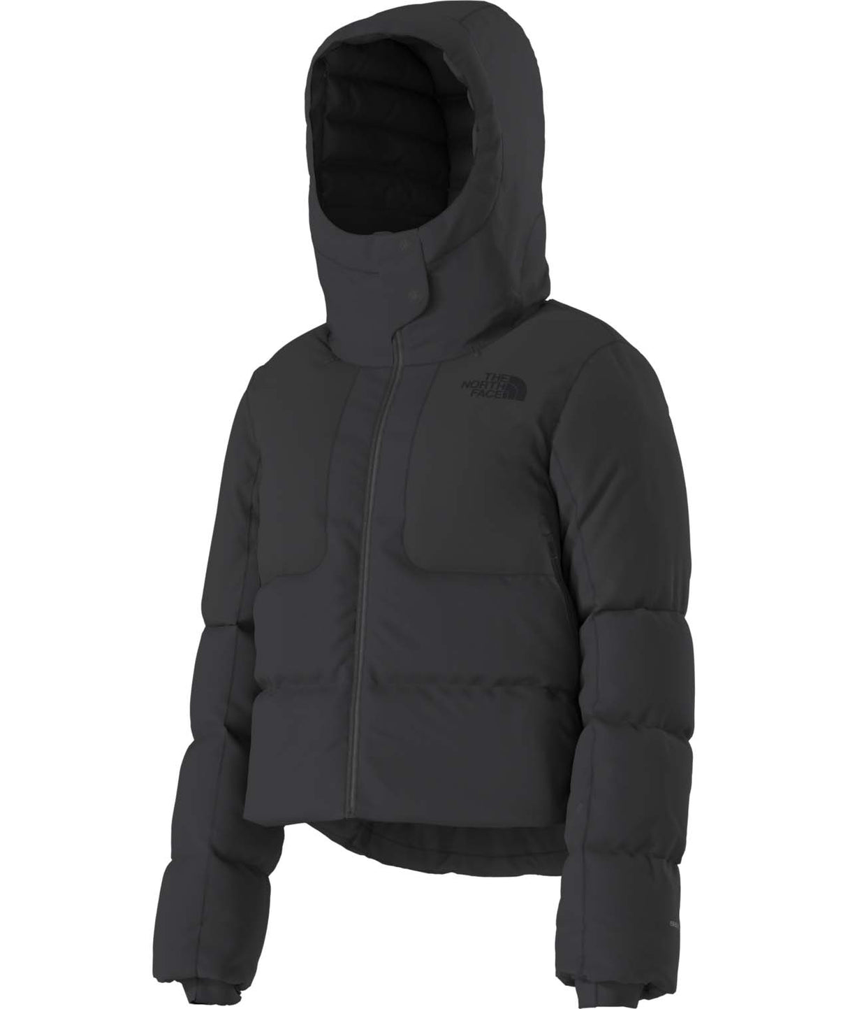 WColdSpellCroppedDownJacket-Black puffer jacket with a hood on a white background