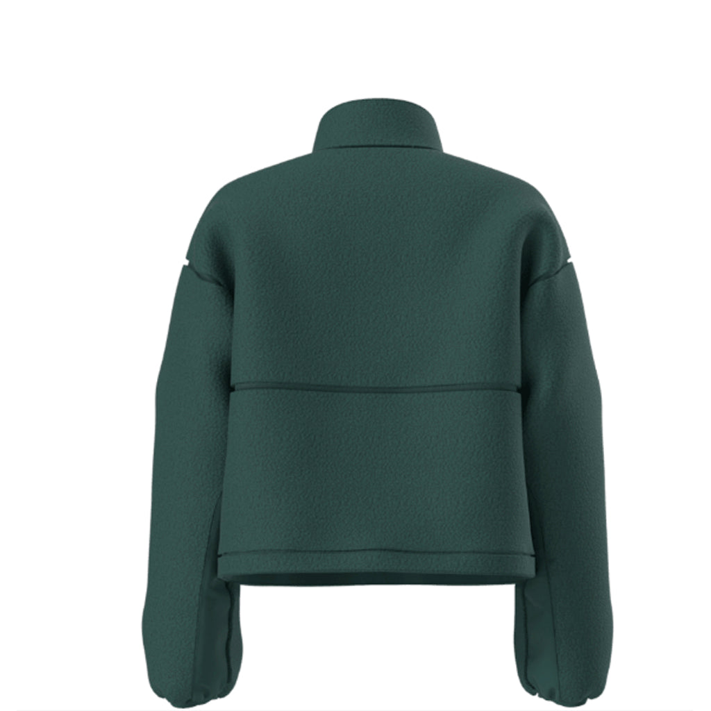 North Face Extreme Pile 2 Pullover (NF0A88ZC) Womens 2026