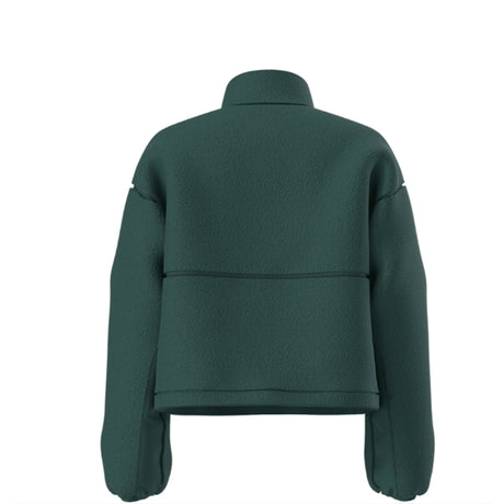 North Face Extreme Pile 2 Pullover (NF0A88ZC) Womens 2026