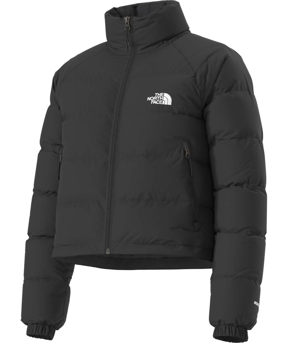 WHydrenaliteDownJacket-Black puffer jacket with The North Face logo on a white background