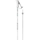 Elan Hotrod Ski Poles