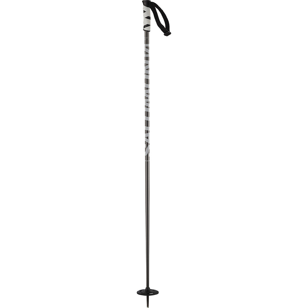 Salomon Hacker Ski Pole 2024