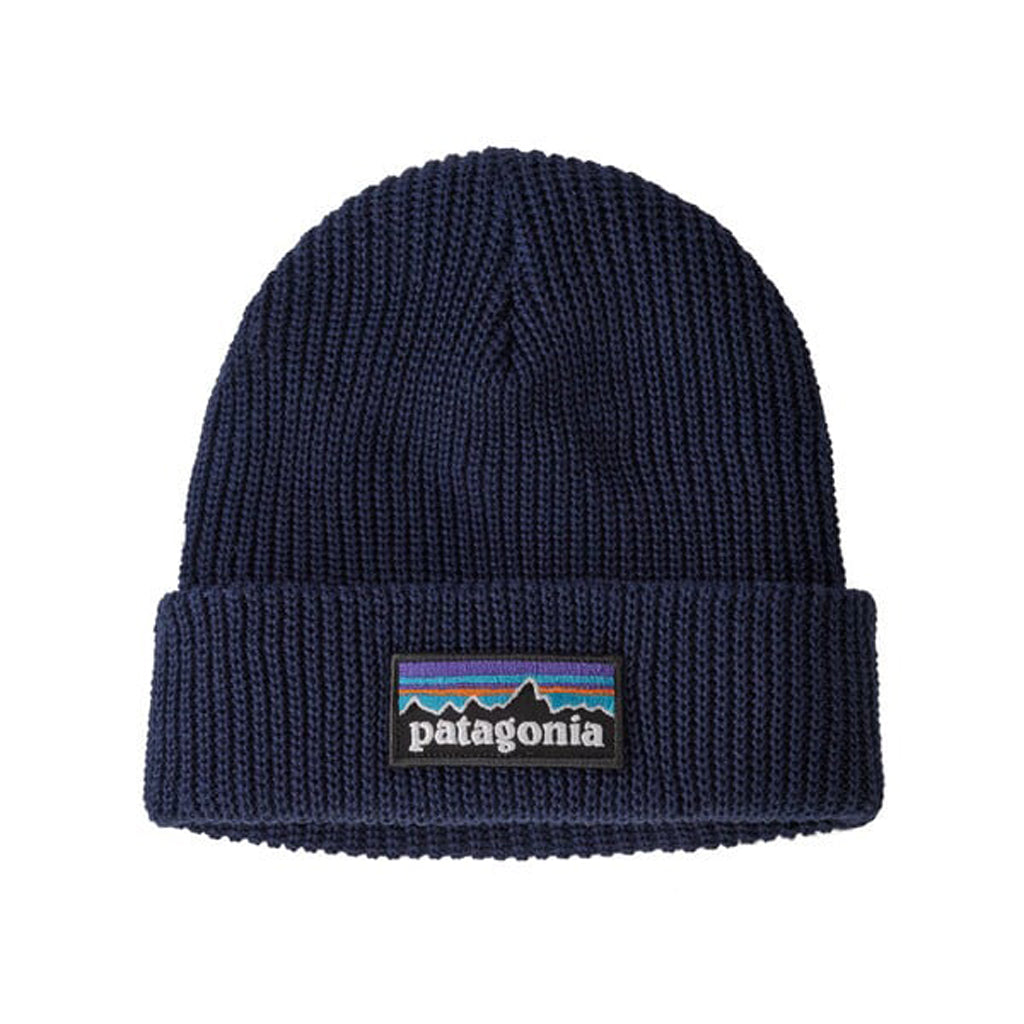 Patagonia Logo Beanie (66045) Kids 2022