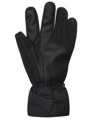 Auclair Horizon Men's Glove 2024