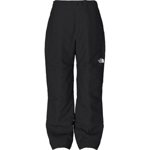North Face Freedom Insulated Pant (NF0A7WP7) Boys 2023